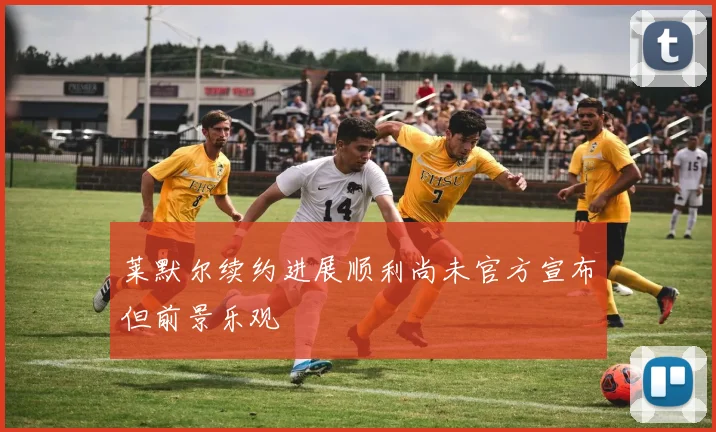 莱默尔续约进展顺利尚未官方宣布但前景乐观